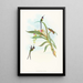 Tharmastura enicura - John Gould — quadro incorniciato alla parete
