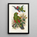 Gli uccelli della Nuova Guinea e delle isole Papuane adiacenti Pl31 - John Gould — quadro incorniciato alla parete