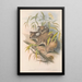 I mammiferi dell'Australia Pl014 - John Gould — quadro incorniciato alla parete