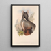Les mammifères d'Australie Pl075 - John Gould — quadro incorniciato alla parete