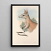 I mammiferi dell'Australia Pl088 - John Gould — quadro incorniciato alla parete