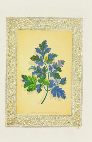 John Henry Ingram - Leaves from the way side.webp