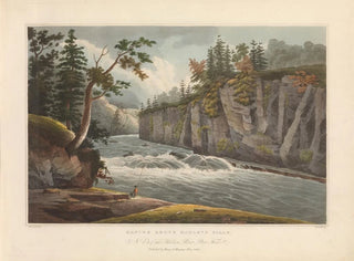 Rapides sopra le cascate di Hadley - John Hill — vista dell’opera