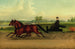 M. Kip che guida una coppia di trotters - John J Mcauliffe — vista dell’opera