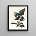 Pie d'America - John James Audubon — quadro incorniciato alla parete