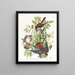 Épervier d'Amérique - John James Audubon — quadro incorniciato alla parete