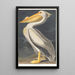 Pélican blanc d'Amérique - John James Audubon — quadro incorniciato alla parete