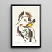 Tyran de l'Arkansas Tyran à queue fourchue - John James Audubon — quadro incorniciato alla parete