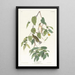 Paruline automnale - John James Audubon — quadro incorniciato alla parete