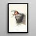 Hirondelle rustique - John James Audubon — quadro incorniciato alla parete