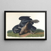 Vautour noir ou corbeau commun - John James Audubon — quadro incorniciato alla parete