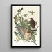 Buse à larges ailes - John James Audubon — quadro incorniciato alla parete
