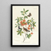 Paruline à tête brune mangeuse de vers - John James Audubon — quadro incorniciato alla parete