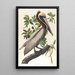 Pélican brun Pelecanus fuscus - John James Audubon — quadro incorniciato alla parete