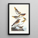 Oriole di Bullock, Oriole di Baltimora, Cardellino messicano, Tordo variato, Tordo dei ruscelli - John James Audubon — quadro incorniciato alla parete