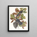 Mésangeai del Canada - John James Audubon — quadro incorniciato alla parete