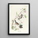 Mésange du Canada - John James Audubon — quadro incorniciato alla parete