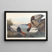 Cigno bianco sul dorso - John James Audubon — quadro incorniciato alla parete