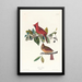 Cardinal gros-bec - John James Audubon — quadro incorniciato alla parete