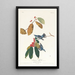 Paruline azurée - John James Audubon — quadro incorniciato alla parete