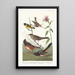 Pinson couleur castagna, Tarin à tête noire, Bruant à couronne noire, Bruant arctico - John James Audubon — quadro incorniciato alla parete