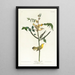 Paruline des enfants - John James Audubon — quadro incorniciato alla parete