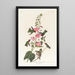 Colibrì della Colombia - John James Audubon — quadro incorniciato alla parete