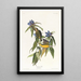 Paruline del Connecticut - John James Audubon — quadro incorniciato alla parete