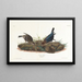 Vacher - John James Audubon — quadro incorniciato alla parete