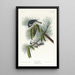 Mésange huppée - John James Audubon — quadro incorniciato alla parete