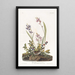 Bruant des champs - John James Audubon — quadro incorniciato alla parete
