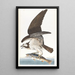 Balbuzard pêcheur - John James Audubon — quadro incorniciato alla parete