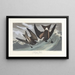 Pétrel a coda biforcuta - John James Audubon — quadro incorniciato alla parete