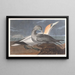 Fou de Bassan - John James Audubon — quadro incorniciato alla parete