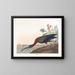 Ibis falcinelle - John James Audubon — quadro incorniciato alla parete