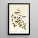 Paruline à ailes dorées - John James Audubon — quadro incorniciato alla parete