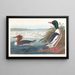 Harle bièvre - John James Audubon — quadro incorniciato alla parete