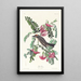 Tyran gris - John James Audubon — quadro incorniciato alla parete