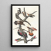 Pic chevelu Pic à ventre rouge Pic à ailes rouges Pic de Lewis Pic à poitrine rouge - John James Audubon — quadro incorniciato alla parete
