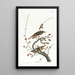 Grive solitaire - John James Audubon — quadro incorniciato alla parete