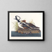 Cigno reale - John James Audubon — quadro incorniciato alla parete