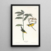 Paruline à capuchon - John James Audubon — quadro incorniciato alla parete
