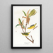 Paruline del Kentucky - John James Audubon — quadro incorniciato alla parete