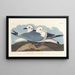 Gabbiano tridattilo - John James Audubon — quadro incorniciato alla parete