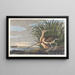 Courlis à long bec - John James Audubon — quadro incorniciato alla parete