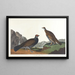 Tetra a coda lunga o tetra scuro - John James Audubon — quadro incorniciato alla parete