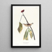 Grive de Louisiane - John James Audubon — quadro incorniciato alla parete