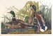 Cigno reale - John James Audubon — vista dell’opera