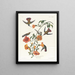 Colibrì di mangrovie - John James Audubon — quadro incorniciato alla parete