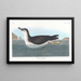 Puffin degli Inglesi - John James Audubon — quadro incorniciato alla parete